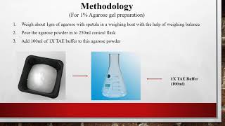 Agarose gel electrophoresis [upl. by Bottali674]