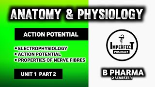 Action Potential  Electrophysiology  Nerve Impulse  Properties Of Nerve Fibres  Nervous System [upl. by Ainav]