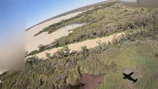 East Australian Waterbird Survey Day 8 9th October 2024 – Coongie Lakes [upl. by Matheny985]