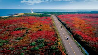 Miscou Island Shippagan NB Camping Fishing with Friend and Family [upl. by Adnama]