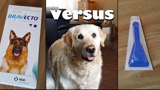 My Dog testing Bravecto Pill vs Spot Ons Anti Flea and Tick protection [upl. by Michaeu]