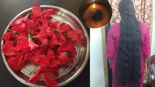 Mandara thailam hair oil in teluguHibiscus oil preparation in teluguhibiscus oil making at home🌺 [upl. by Aerbma]