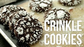 Fudgy Chocolate Crinkle Cookies How to Make Crinkles Recipe [upl. by Reinhard]