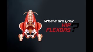 How to Stretch Your Hip Flexors تمرين استطالة للعضلات القابضة للورك [upl. by Eirojram]