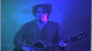 The Cure Bloodflowers Promo Tour Dallas Texas  Out of this World [upl. by Einnad]