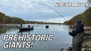 HUGE Lake Trout Everywhere EPIC morning float fishing Lake Trout Niagara River Trout Fishing [upl. by Ris]