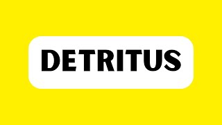 How to Pronounce Detritus Correctly [upl. by Kurt]