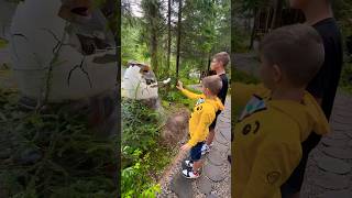 Dino park🦖Carpathians🦕dinopark reels shorts like blog carpathians mountains foryou shorts [upl. by Libbi]