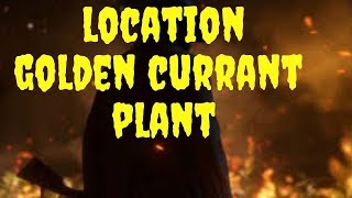 Red Dead Redemption 2 Golden Currant and Sage location [upl. by Milinda]