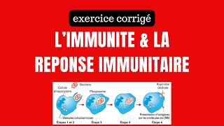 exercice résolu sur limmunité et la réponse immunitaire [upl. by Eimmij]