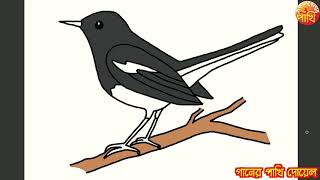 How To Draw A Magpie Robin  Step By Step Drawing  Sokal Belar Pakhi [upl. by Zeta6]