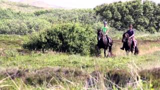 Puur Terschelling [upl. by Brose534]