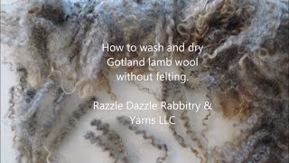 How to wash and dry Gotland wool without felting Hand washing and drying at home in the kitchen [upl. by Rosene]