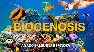 BIOCENOSIS  RELACIONES INTRAESPECIFICAS E INTERESPECIFICAS [upl. by Ecnerat]