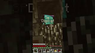 Erpata SuperMina De Diamantes minecraft viralvideo viralvideo viralshorts parati diamond [upl. by Hannie160]