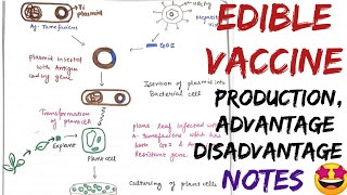 Edible Vaccine production advantage disadvantage notes biotechnology [upl. by Refinnaj]