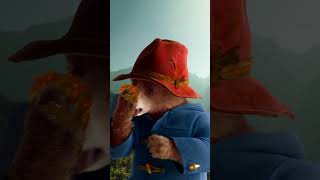 Paddington 3 [upl. by Zellner]