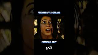 predator vs beruang movie alurfilm film [upl. by Eneiluj]