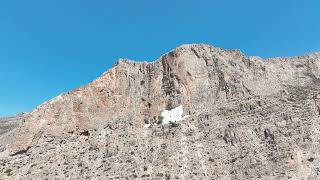 CATLEYA AMORGOS [upl. by Nahej]