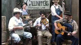 The Gallinippers  Ode to Uncle Jimmy Thompson [upl. by Sholeen]