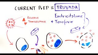 Demystifying HIV PreExposure Prophylaxis [upl. by Atirhs]