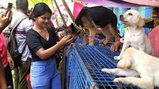 RECENT DOG PUPPY PRICE UPDATE  GALIFF STREET PET MARKET KOLKATA  CHEAPEST PRICEVISIT 26JUNE 2022 [upl. by Galloway]