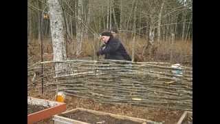 Building our first Wattle Fence [upl. by Neenej257]