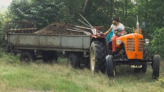 Wtopa⁉️ Obornik amp Orka 2023🔥 Ursus c 4011 w akcji🚜 Gospodarstwo od Zera 🎥 [upl. by Henrie]