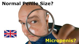 Normal penile size girth and micropenis  urologist Göttingen [upl. by Fugazy]