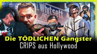 WAS sind das für  GANGSTER´´ I Reaction I GHAZI47 [upl. by Marijo]