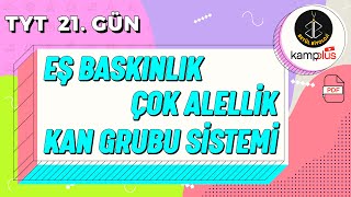 21 Eş Baskınlık Çok Alellik ve Kan Grubu Sistemi Konu Anlatımı  10 Sınıf Biyoloji  TYT 21 Gün [upl. by Saffren]