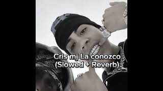 Cris mj La conozco Slowed  reverb [upl. by Phira]