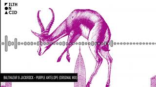 Balthazar amp JackRock  Purple Antelope Original Mix [upl. by Berton]