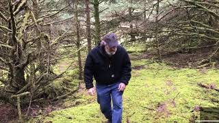 Paul encounters the purple club fungus Alloclavaria purpurea [upl. by Ynafetse803]