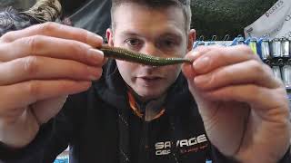 New Gulp Ragworm For Bait amp Lure Fishing [upl. by Zaria350]