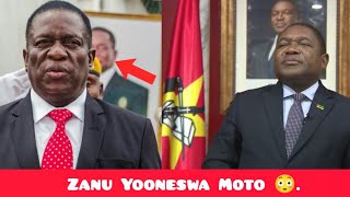 Zanu Yoshedzwa Iwone Zvakadai 😳 [upl. by Ailla540]