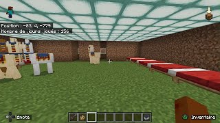 Minecraft20241114160551 [upl. by Fries]