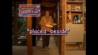 Pronouns In Apposition In English  Appositives  With Helpful Examples [upl. by Aicemaj]