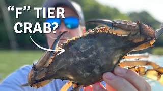 I Tried 20 Different Crabs And Ranked Them All [upl. by Yruama]