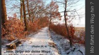 Andrea FreyFreiheit der Kinder Gottes HQ with Lyrics [upl. by Annekcm228]