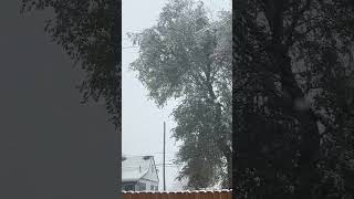 Hoje está nevando❤️ [upl. by Ajup]