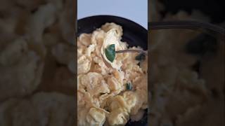 🇮🇹 Italian Pasta 🇮🇹 Tortellini con Ripieno di Ricotta e formaggio pastafattaincasa pasta [upl. by Igal]