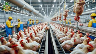 Inside the Chicken Factory Processing Millions of Chickens for Meat [upl. by Lind]