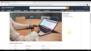 Lecture 44 AWS SageMaker MarketPlace [upl. by Zipnick]