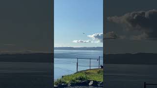 “Afternoon Calm DisruptedHelicopter Takes Flight Over James Bay victoriabc mindfulmoments asmr “ [upl. by Adiam]