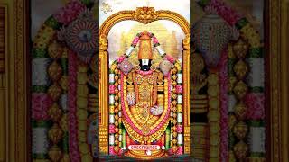 Tirumala Tirupathi Venkatesa  Lord Venkateswara Devotional Song  Tirupati Temple Song  PRaju [upl. by Yennaiv]