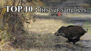 TOP 10 de mes tirs sur sangliers [upl. by Ilrak]