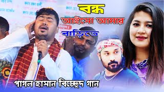 আমার বাড়ী রইল নিমন্ত্রণ জহির পাগলা ।। Amar Bari Roilo Nimontron ।। JOHIR PAGLA 2024 [upl. by Eilitan590]