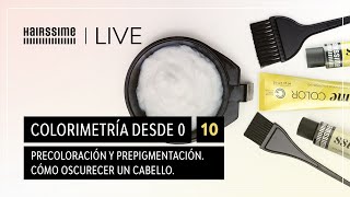 Colorimetría desde 0  10 Precoloración y prepigmentación Cómo oscurecer el cabello [upl. by Anema]