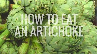 How to eat an artichoke [upl. by Nicko]